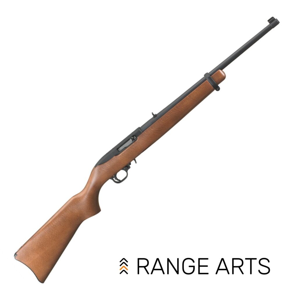 Ruger 10/22 .22 LR rifle with 18.5" barrel and birch wood stock, blued barrel and receiver, detachable magazine — shown on plain background.